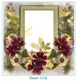 marco de fotos de flores 1136