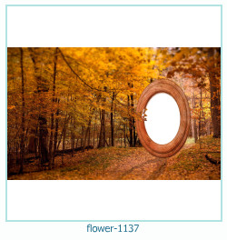 marco de fotos de flores 1137