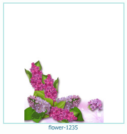 marco de fotos de flores 1235