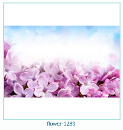 marco de fotos de flores 1289