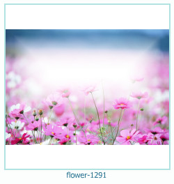marco de fotos de flores 1291