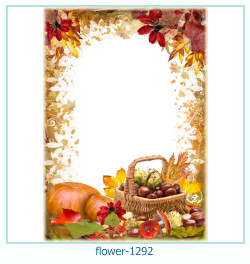 marco de fotos de flores 1292
