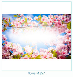 marco de fotos de flores 1357