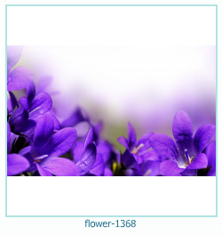 marco de fotos de flores 1368