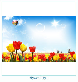 marco de fotos de flores 1391