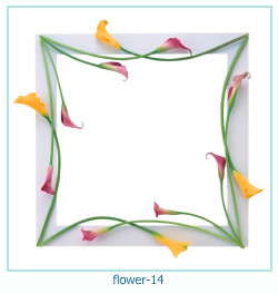 marco de fotos de año de flores 14
