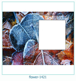 marco de fotos de flores 1421