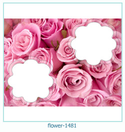 marco de fotos de flores 1481