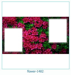 marco de fotos de flores 1482