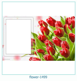 marco de fotos de flores 1499