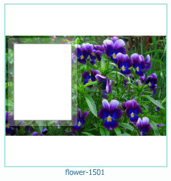 marco de fotos de flores 1501