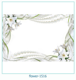 marco de fotos de flores 1516