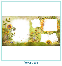 marco de fotos de flores 1536