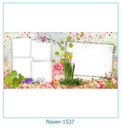 marco de fotos de flores 1537