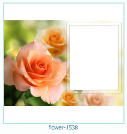 marco de fotos de flores 1538
