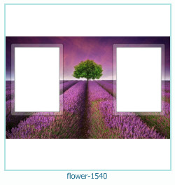 marco de fotos de flores 1540