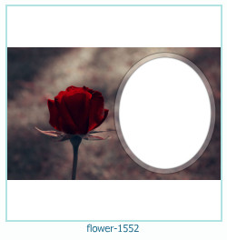 marco de fotos de flores 1552