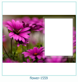 marco de fotos de flores 1559