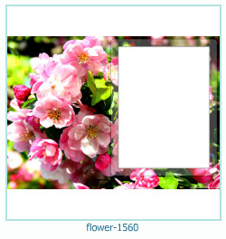 marco de fotos de flores 1560