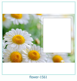 marco de fotos de flores 1561