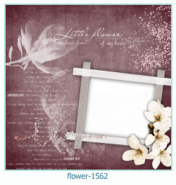 marco de fotos de flores 1562