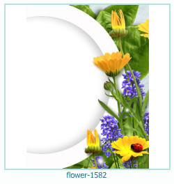marco de fotos de flores 1582