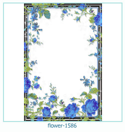 marco de fotos de flores 1586