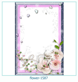 marco de fotos de flores 1587