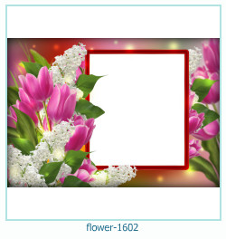 marco de fotos de flores 1602