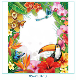 marco de fotos de flores 1610