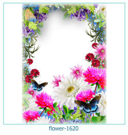 marco de fotos de flores 1620