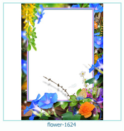 marco de fotos de flores 1624