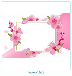 marco de fotos de flores 1635