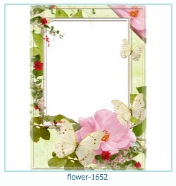 marco de fotos de flores 1652