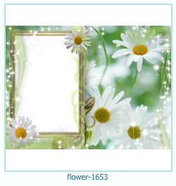 marco de fotos de flores 1653