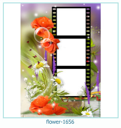 marco de fotos de flores 1656