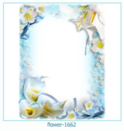 marco de fotos de flores 1662