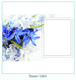 marco de fotos de flores 1664