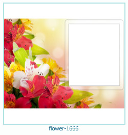 marco de fotos de flores 1666