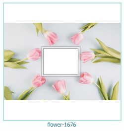 marco de fotos de flores 1676