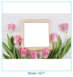 marco de fotos de flores 1677