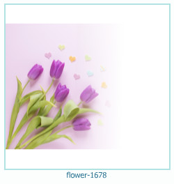 marco de fotos de flores 1678