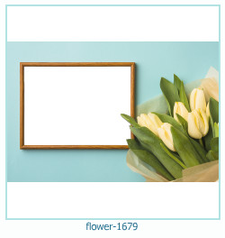 marco de fotos de flores 1679