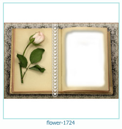 marco de fotos de flores 1724