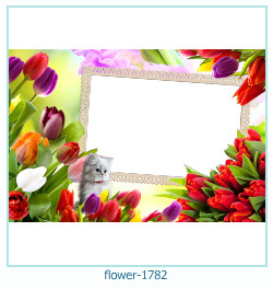 marco de fotos de flores 1782