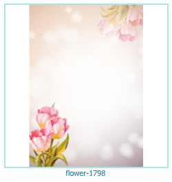 marco de fotos de flores 1798