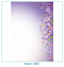marco de fotos de flores 1800