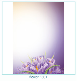 marco de fotos de flores 1801
