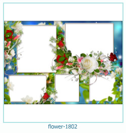 marco de fotos de flores 1802