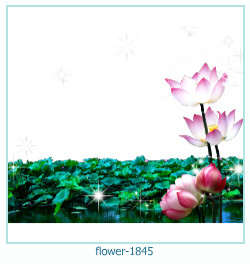 marco de fotos de flores 1845